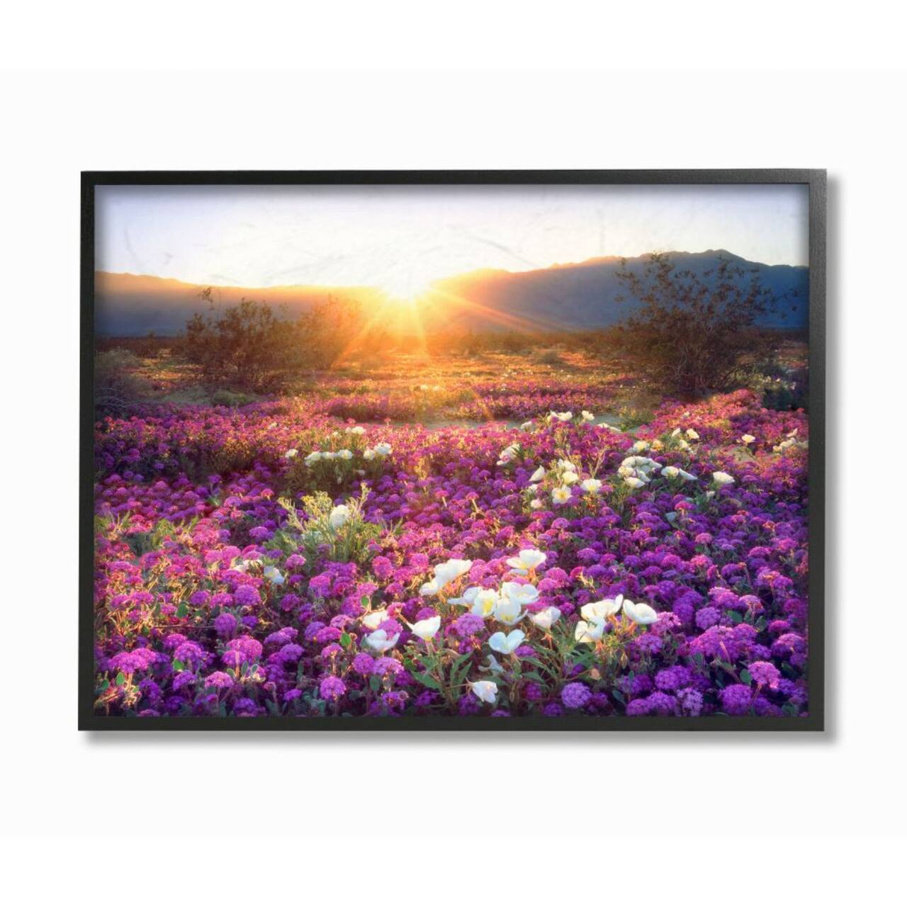 Stupell Industries Dune Wildflowers at Sunset Black Framed Wall Art